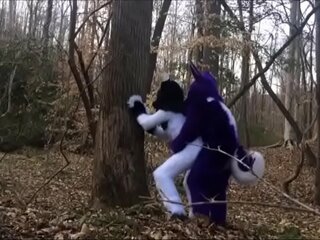 Furry paar engages in outdoor seks in fursuit